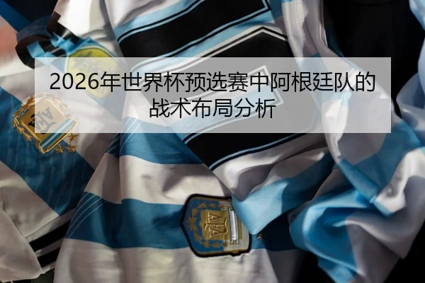 nian-shi-jie-bei-yu-xuan-sai-zhong-a-gen-ting-dui-de-zhan-shu-bu-ju-fen-xi-2-688.jpg