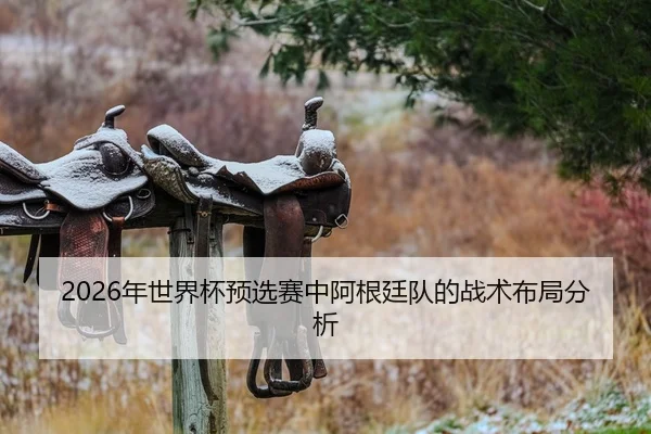 2026年世界杯预选赛中阿根廷队的战术布局分析