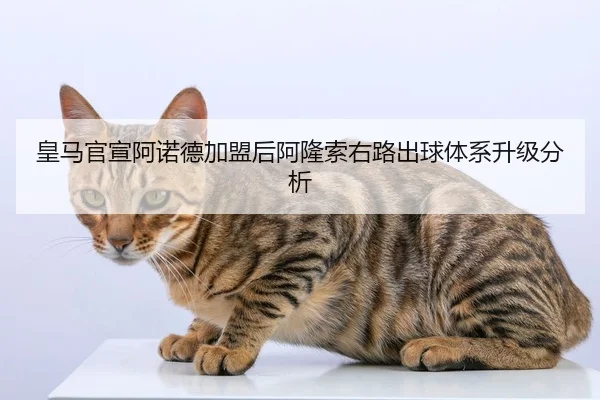 皇马官宣阿诺德加盟后阿隆索右路出球体系升级分析