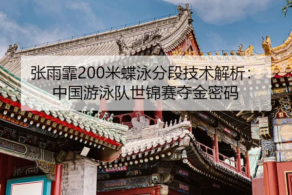 zhang-yu-fei-mi-die-yong-fen-duan-ji-shu-jie-xi-zhong-guo-you-yong-dui-shi-jin-sai-duo-jin-mi-ma-2-459.jpg
