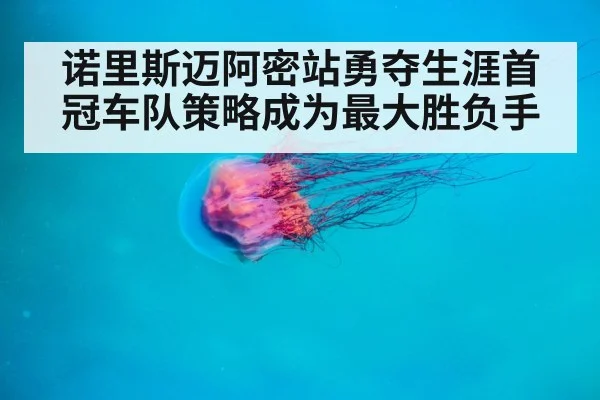 诺里斯迈阿密站勇夺生涯首冠车队策略成为最大胜负手